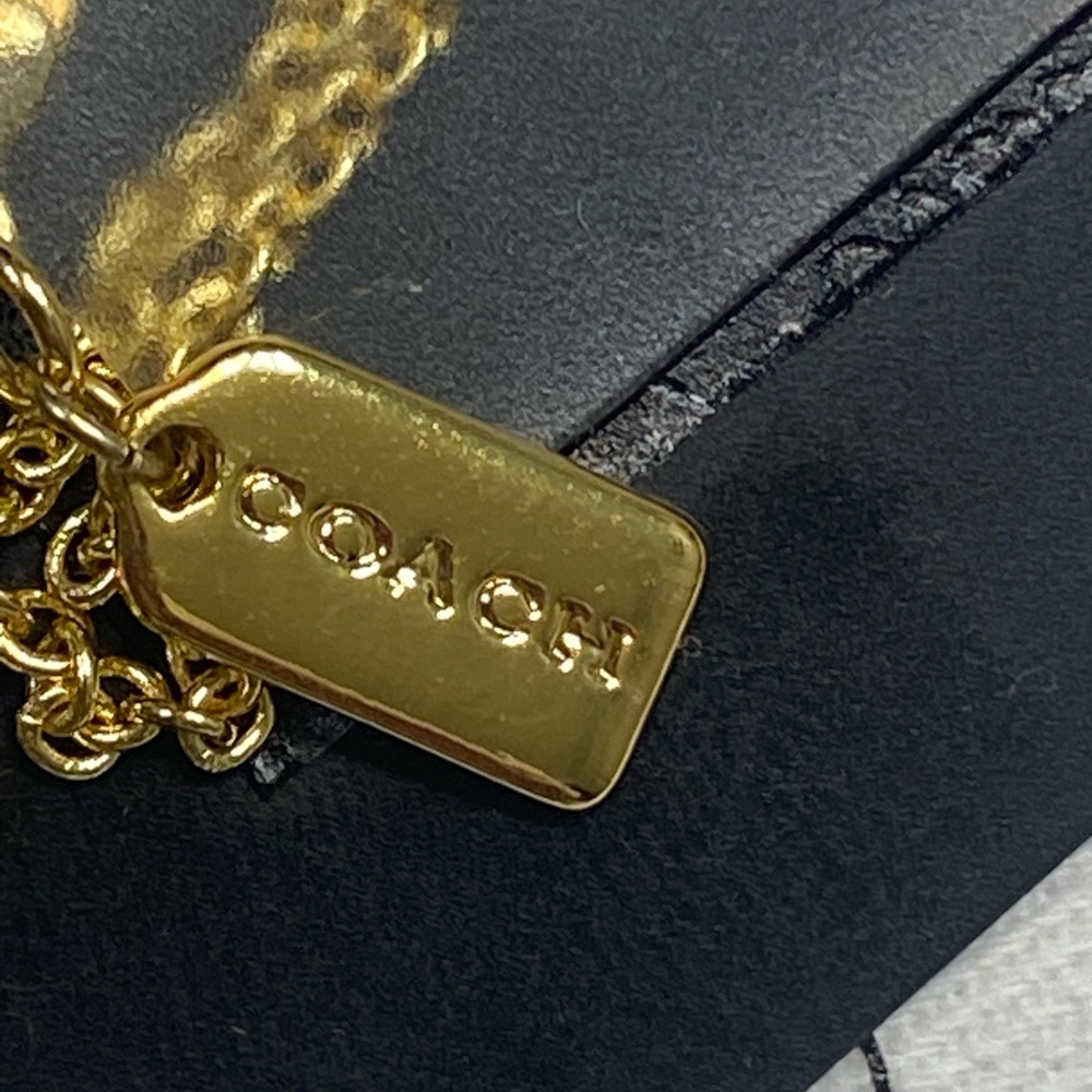 Coach X Peanuts Snoopy And Woodstock Long Necklace - Picture 3 of 9